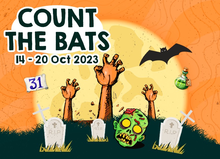 Causeway Point Instagram Contest - Count the Bats